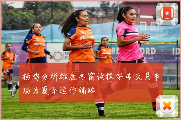 杨鸣分析雄鹿冬窗试探字母交易市场为夏季运作铺路