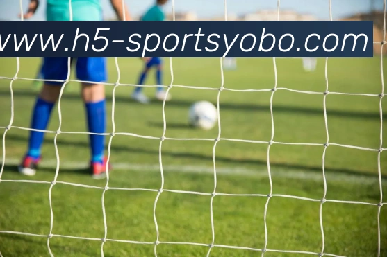 yobo体育服务体系